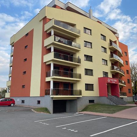 Studio Fortuna Park Sfantu Gheorghe  Ngoại thất bức ảnh